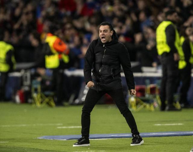 大好日子哈维又开怼记者为什么？